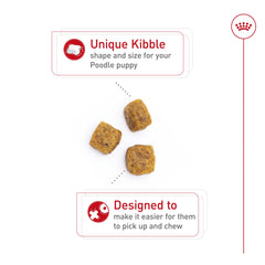 ROYAL CANIN Caniche Puppy: croqueta con diseño especializado para recoger y masticar