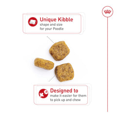 Royal Canin Poodle soporte-muscular ayuda a mantener la masa muscular