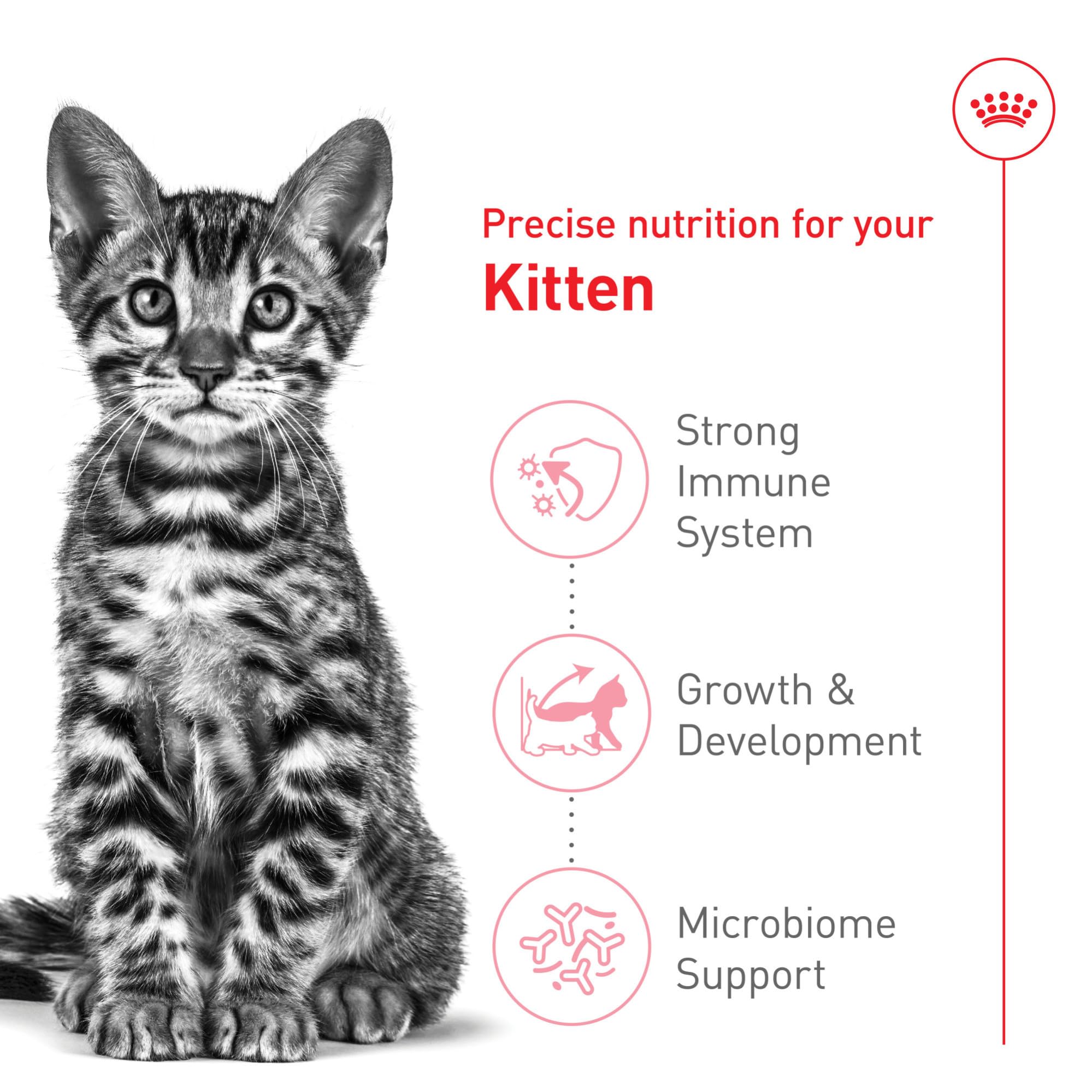 Royal Canin prebioticos balancea la microbiota intestinal para apoyo digestivo.