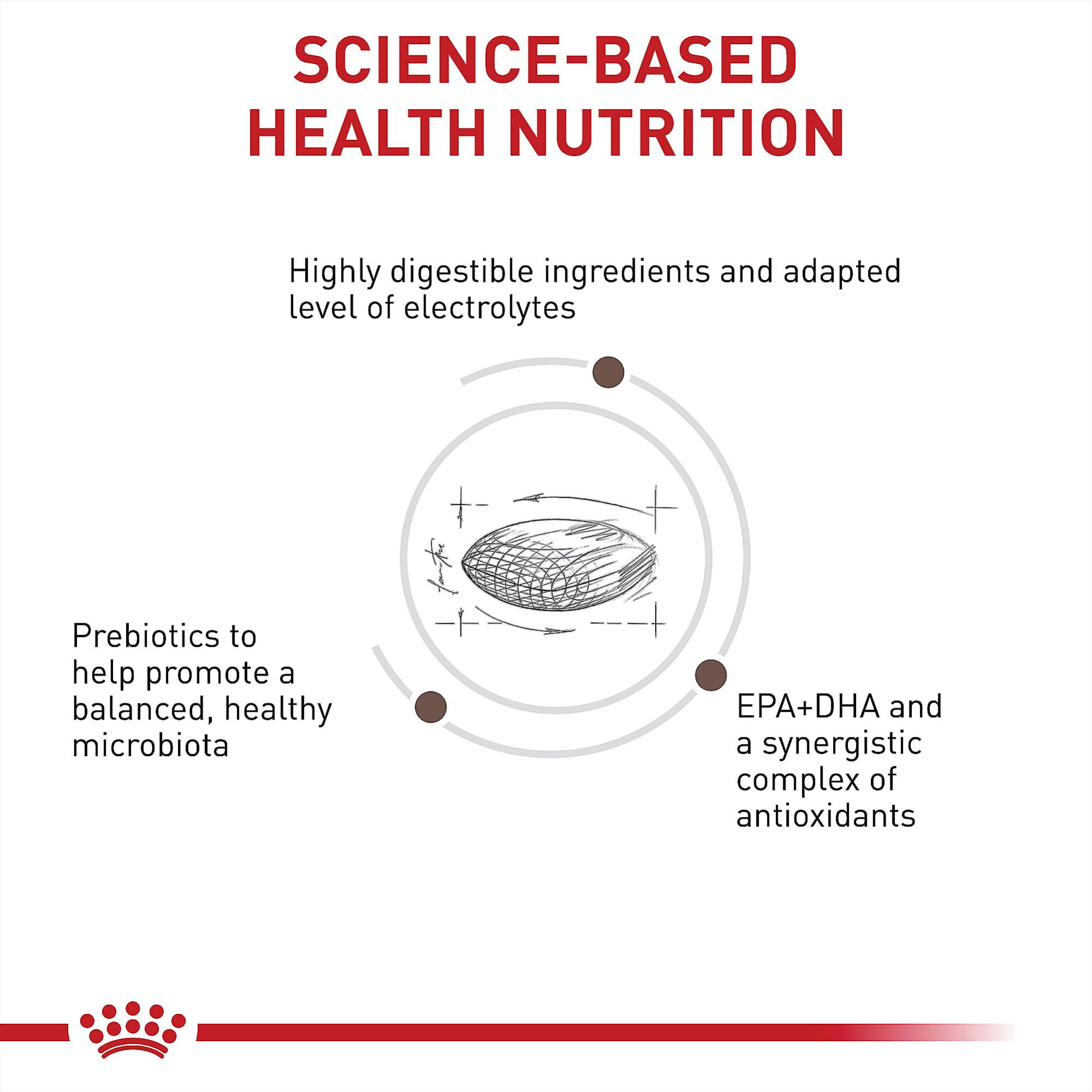 Royal Canin prebióticos para apoyar bacterias intestinales saludables.