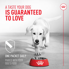 Royal Canin Probioticos: comida húmeda, complemento sabroso para digestión
