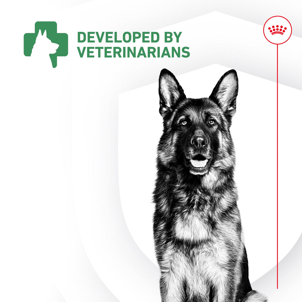 Royal Canin Probioticos: cuenco de alimento listo para mezclar