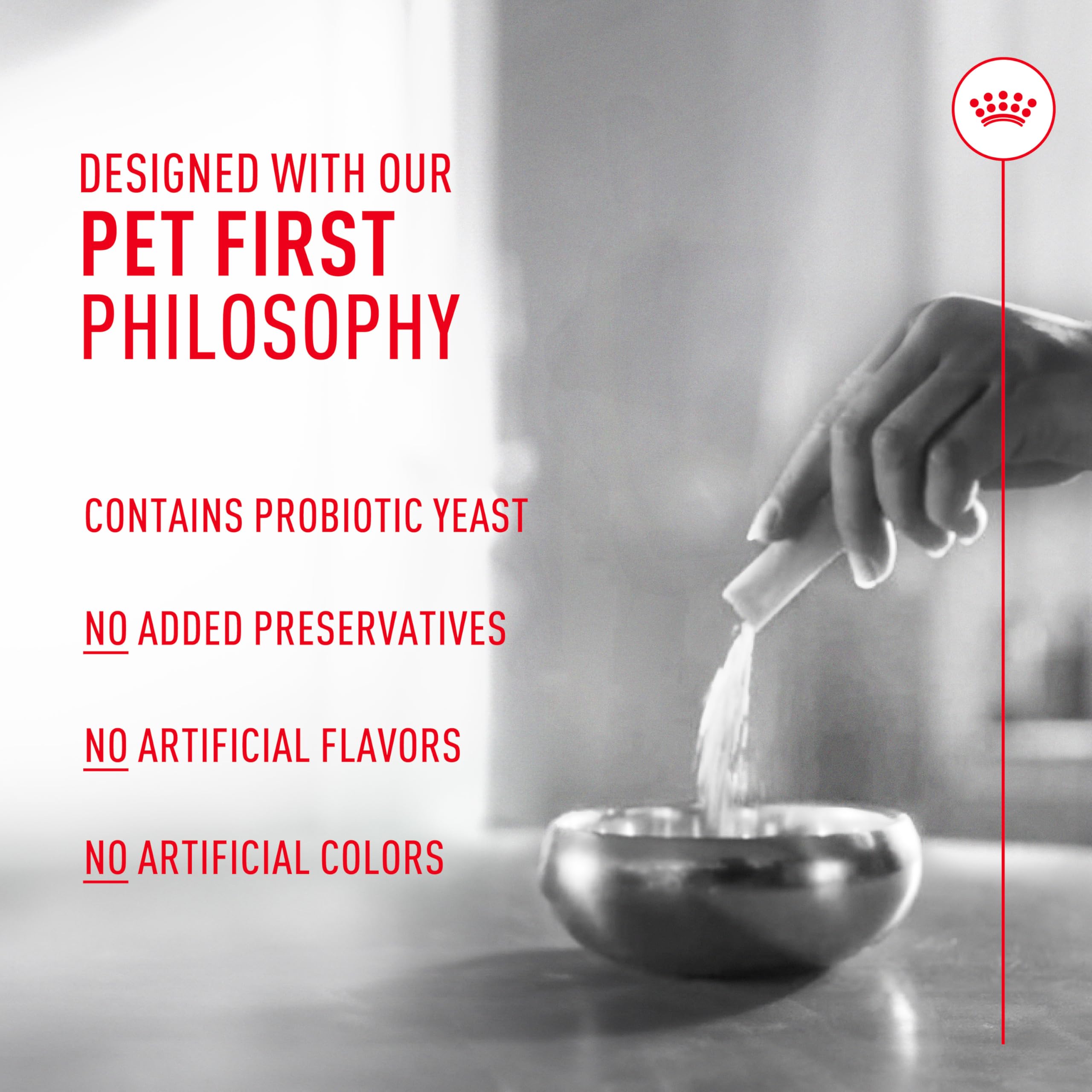 Royal Canin Probioticos: perro feliz comiendo la comida