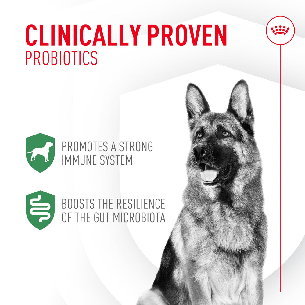 Royal Canin Probioticos: sobre de dosis, fácil de administrar