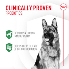 Royal Canin Probioticos: sobre de dosis, fácil de administrar