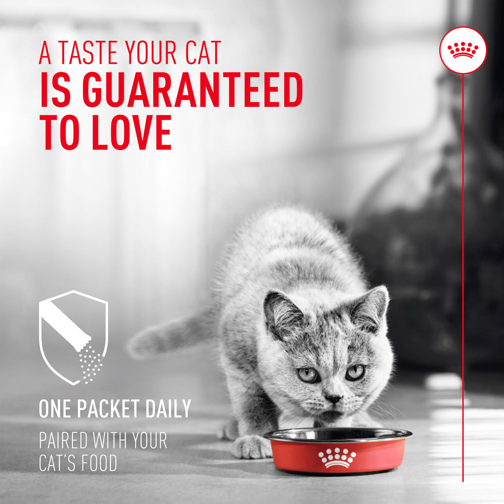 ROYAL CANIN Probiotics para Gatos: aplicación en comida seca para uso diario