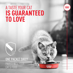 ROYAL CANIN Probiotics para Gatos: aplicación en comida seca para uso diario