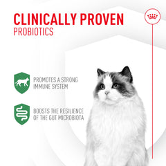ROYAL CANIN Probiotics para Gatos: dosis diaria para apoyar la salud digestiva