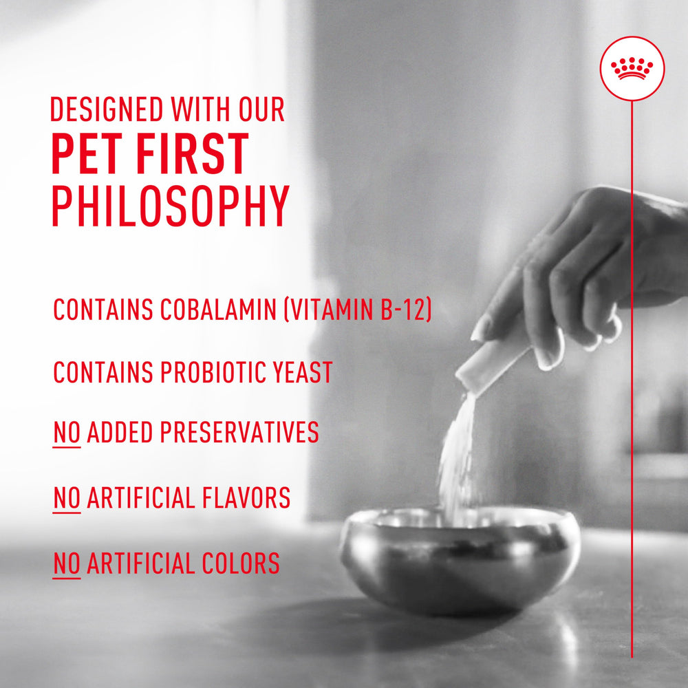 ROYAL CANIN Probiotics para Gatos: soporte digestivo para heces más estables