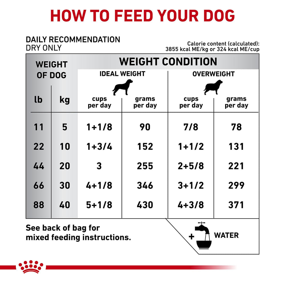 ROYAL CANIN proteina hidrolizada de soja para tolerancia digestiva.