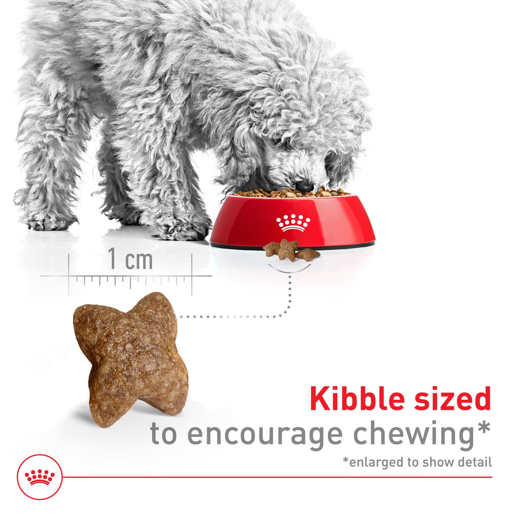 Royal Canin proteínas digestibles y fibras para microbioma saludable.
