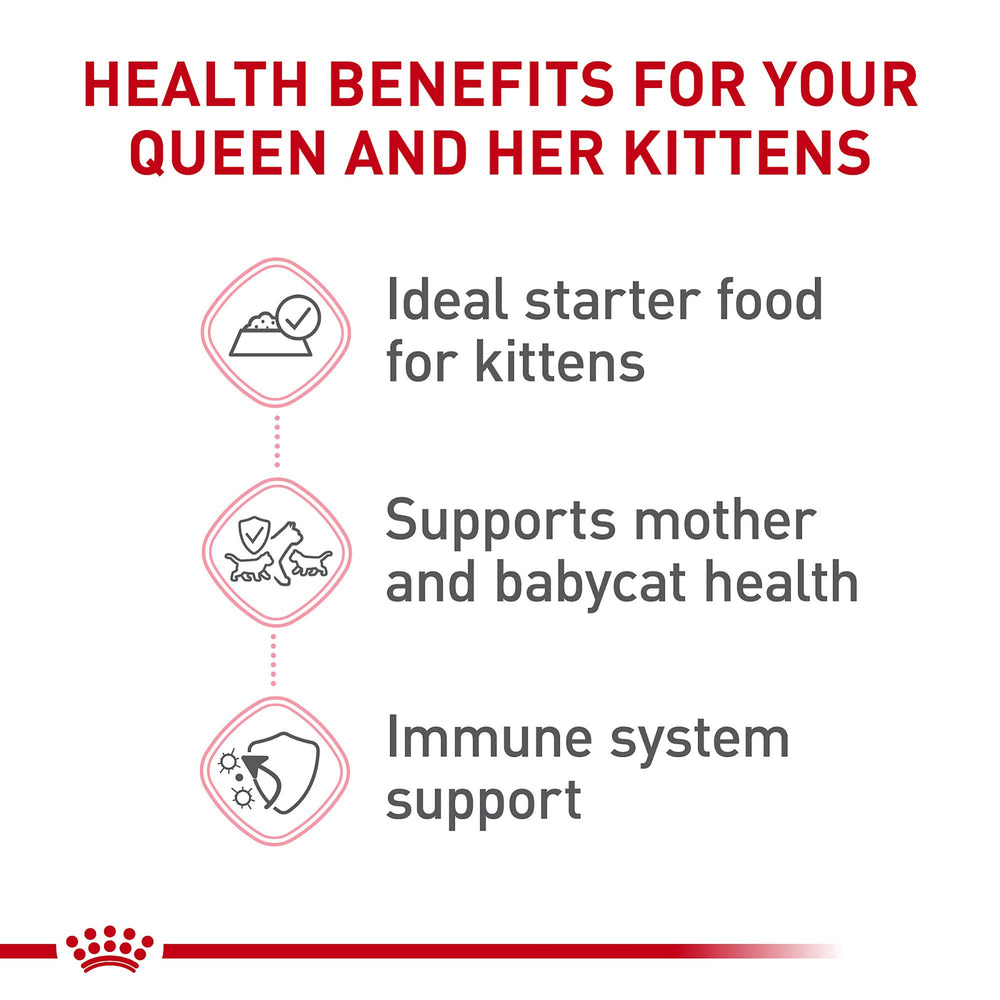 Proteínas digestivas y prebióticos en Royal Canin para digestión equilibrada
