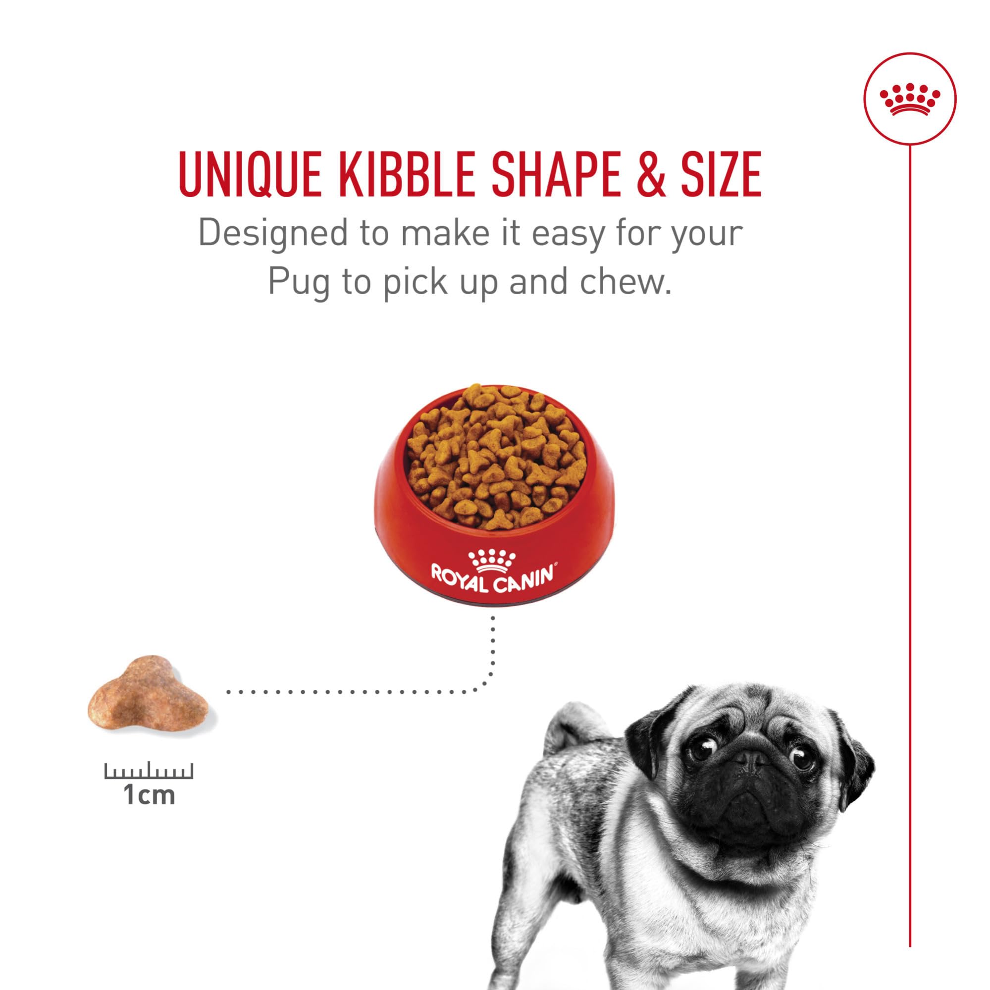 Royal Canin Pug, control de peso equilibrado para perros activos.