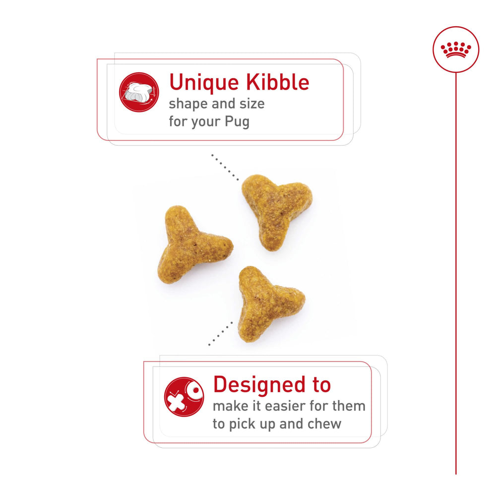 Royal Canin Pug, piel y pelaje con EPA DHA para brillo.