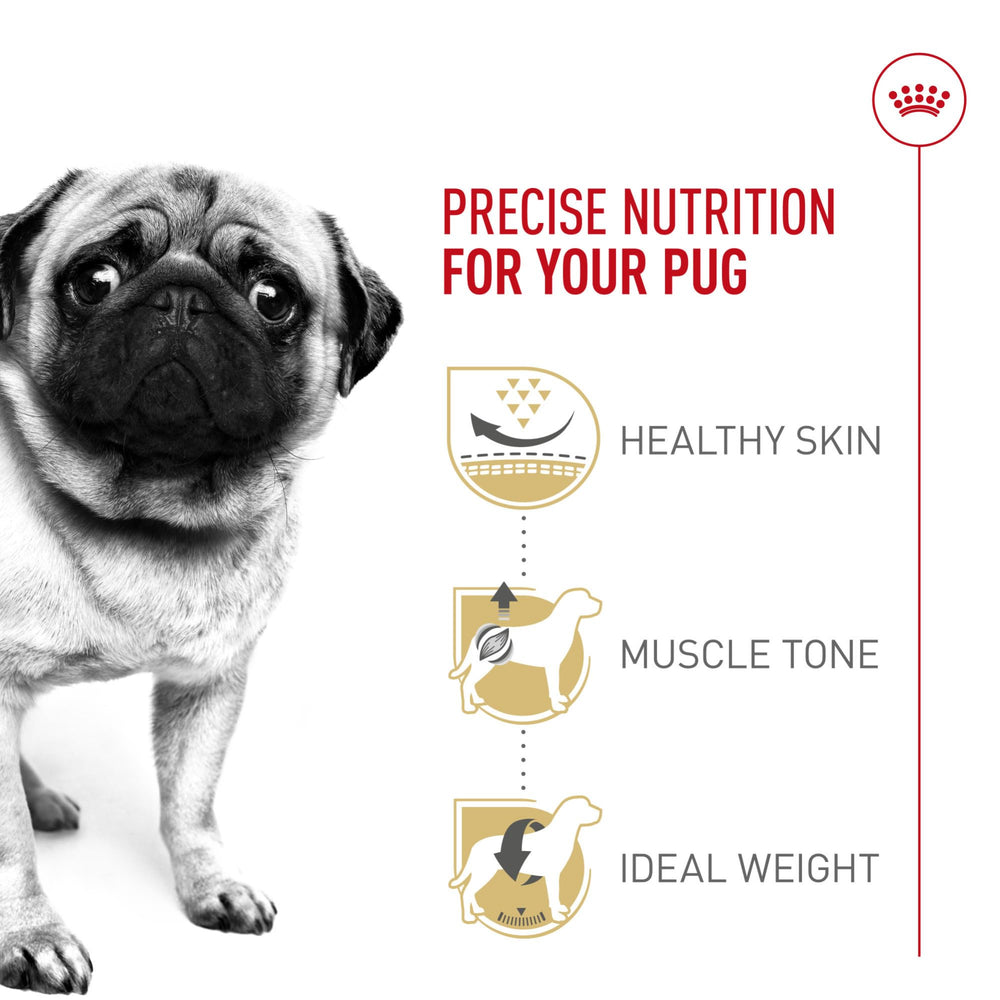 Royal Canin Pug, proteina y carnitina para musculo tonificado.