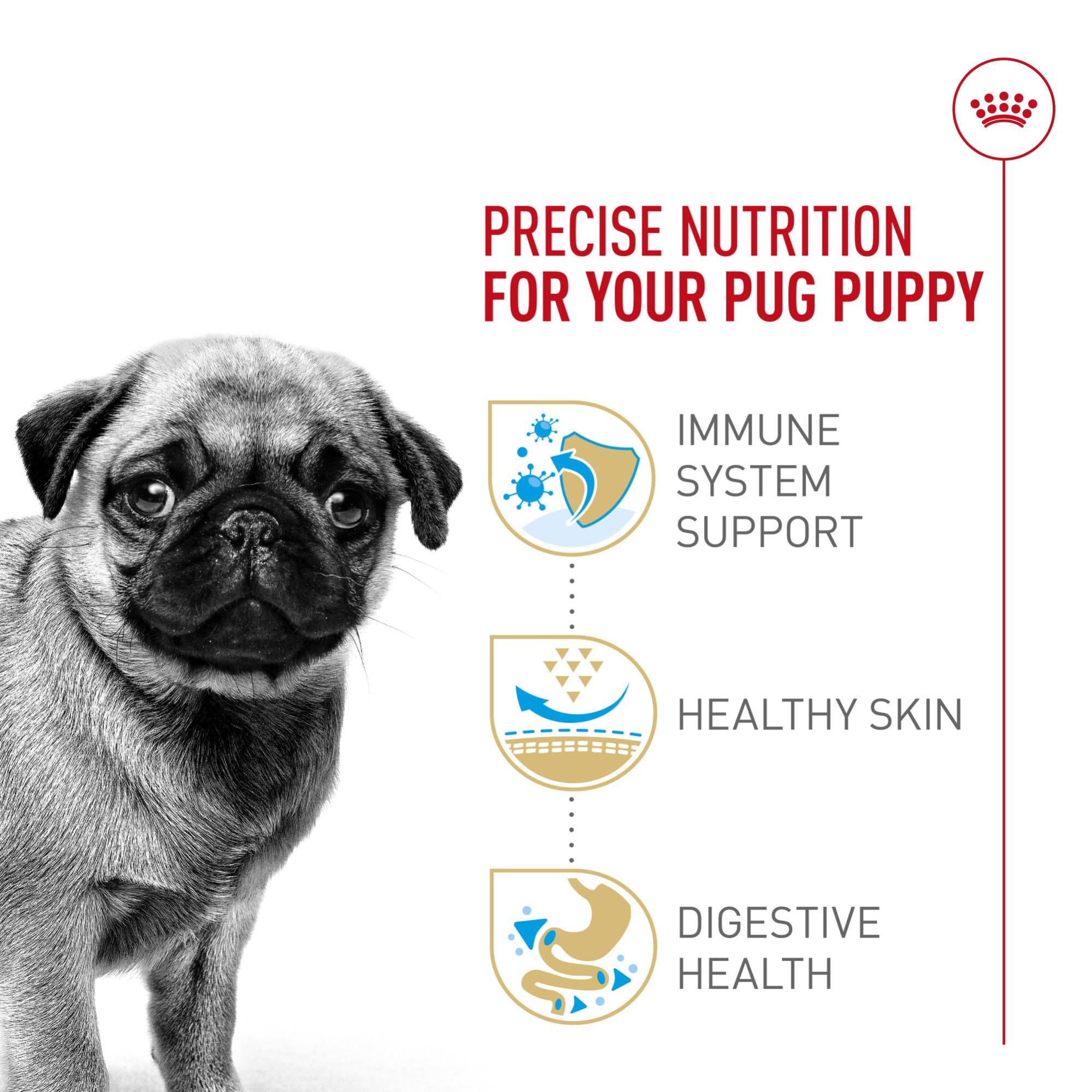 Antioxidantes y vitamina E en Royal Canin Pug Puppy para desarrollo inmune