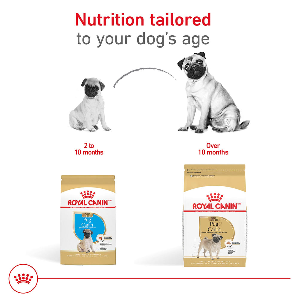 Omega-3 EPA y DHA para piel y pelaje en Royal Canin Pug Puppy