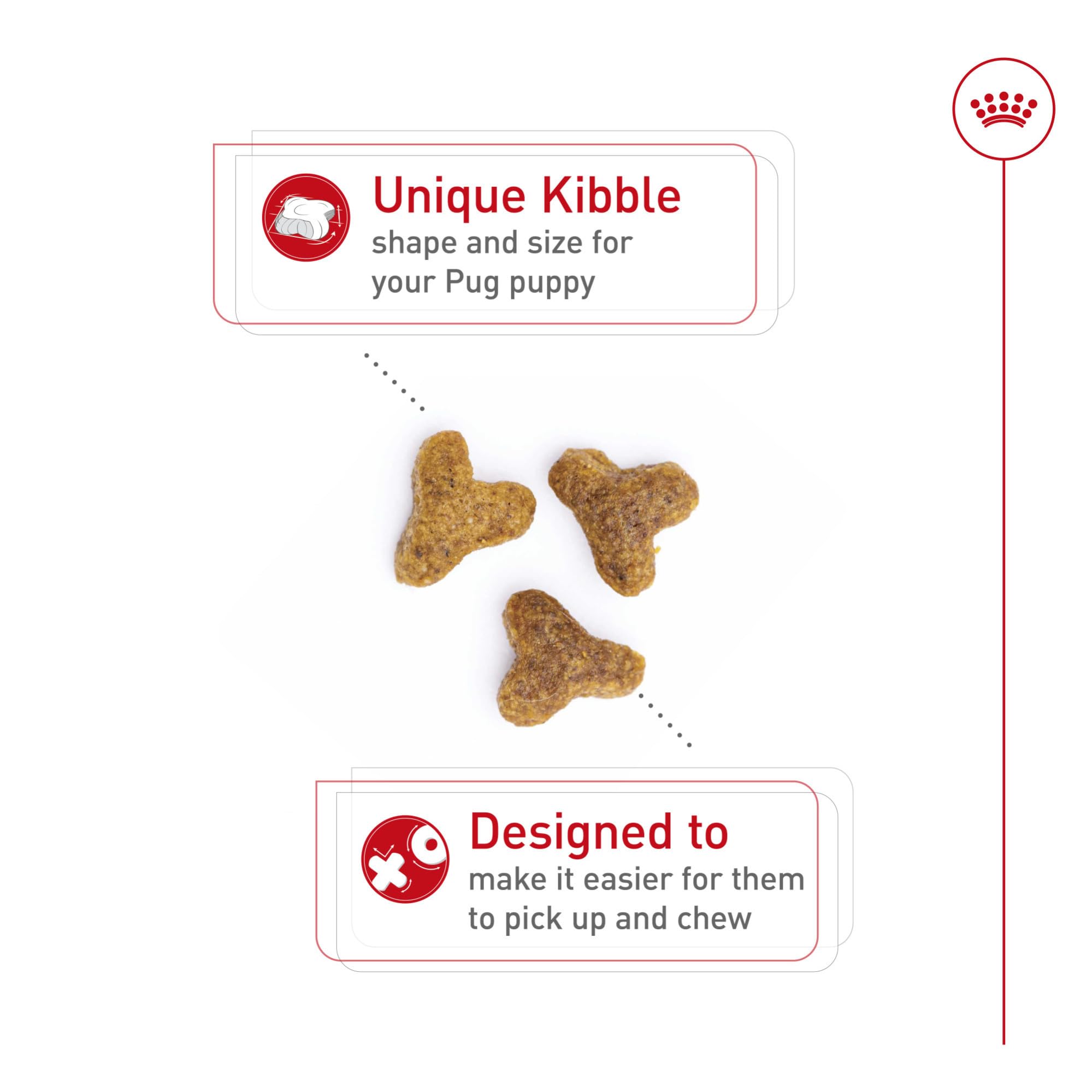 Kibble de Royal Canin Pug Puppy de tamaño pequeño para recoger fácilmente