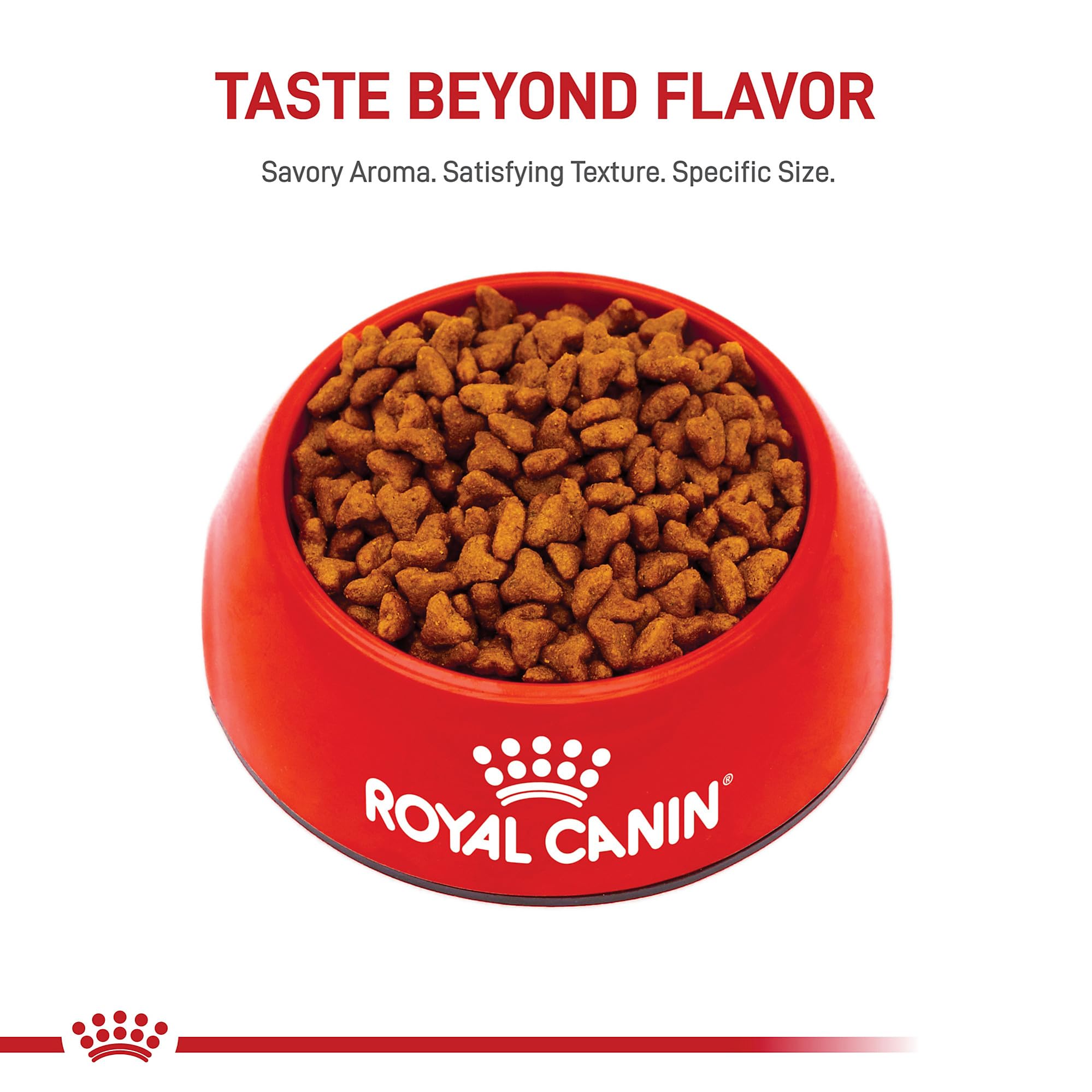Envase de 2,5 lb para cachorros Pug