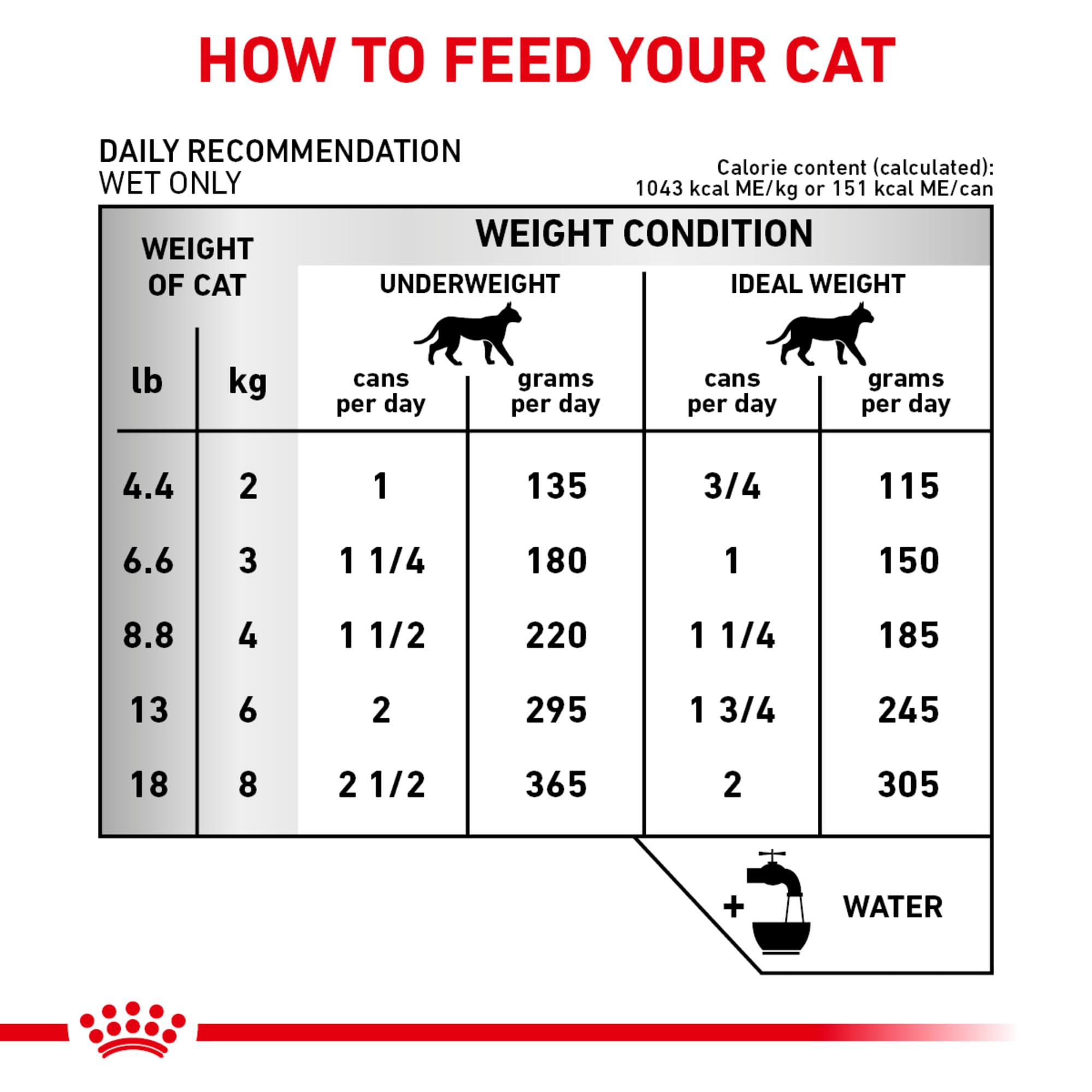 Royal Canin Renal Support E: gato disfrutando la comida para la dieta renal.