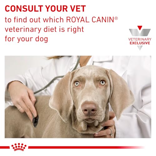 Royal Canin Renal Support T proteínas específicas para nutrición precisa