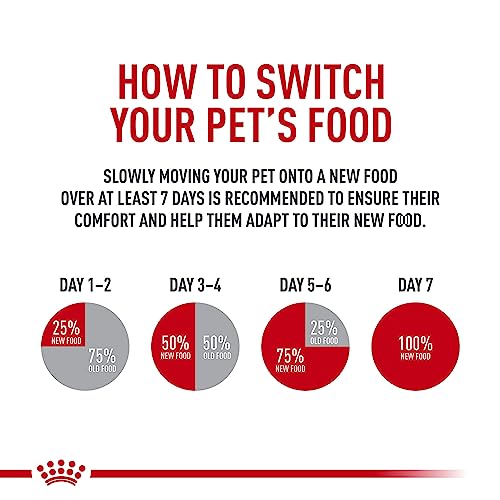 ROYAL CANIN Sabor Digestivo: trozos en salsa para gatos exigentes.