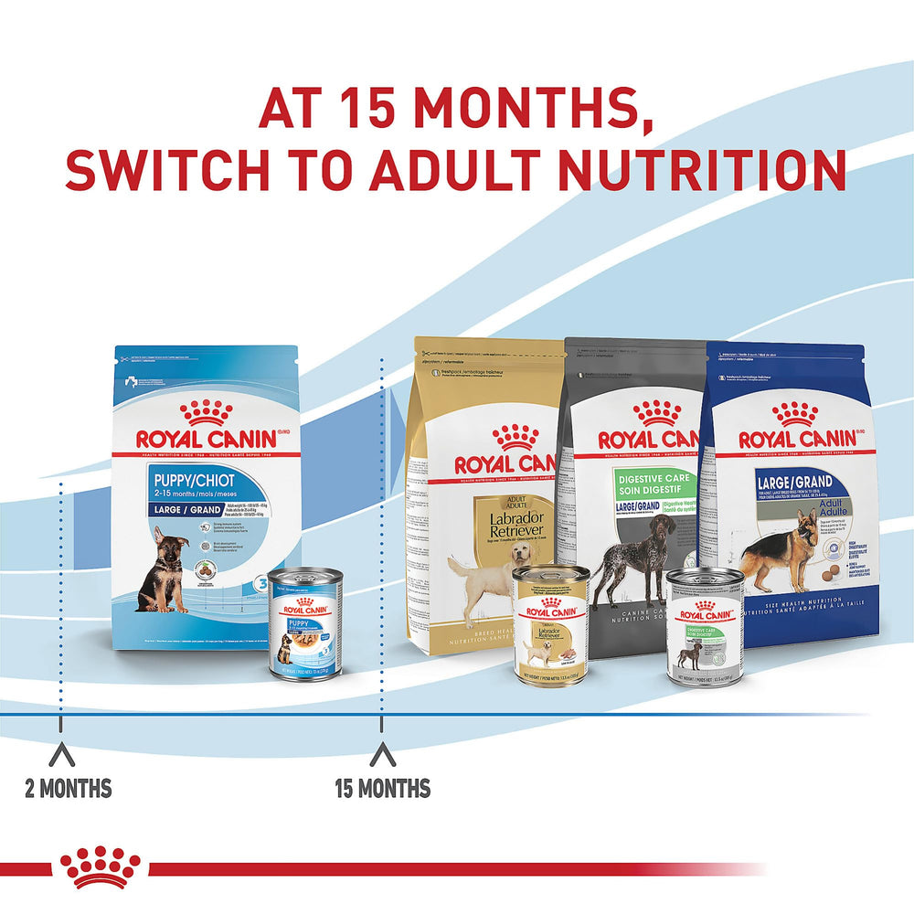 Antioxidantes y prebióticos en Royal Canin Size Health Nutrition para apoyo inmunológico y digestivo.