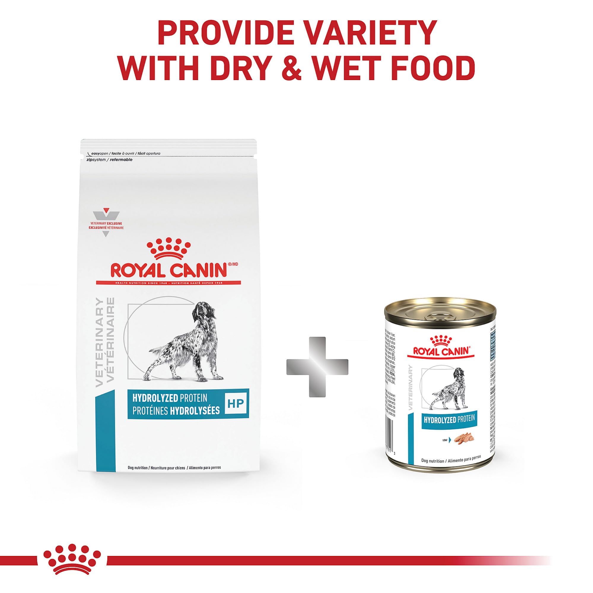 ROYAL CANIN servido en cuenco, croquetas aptas para rutina diaria.