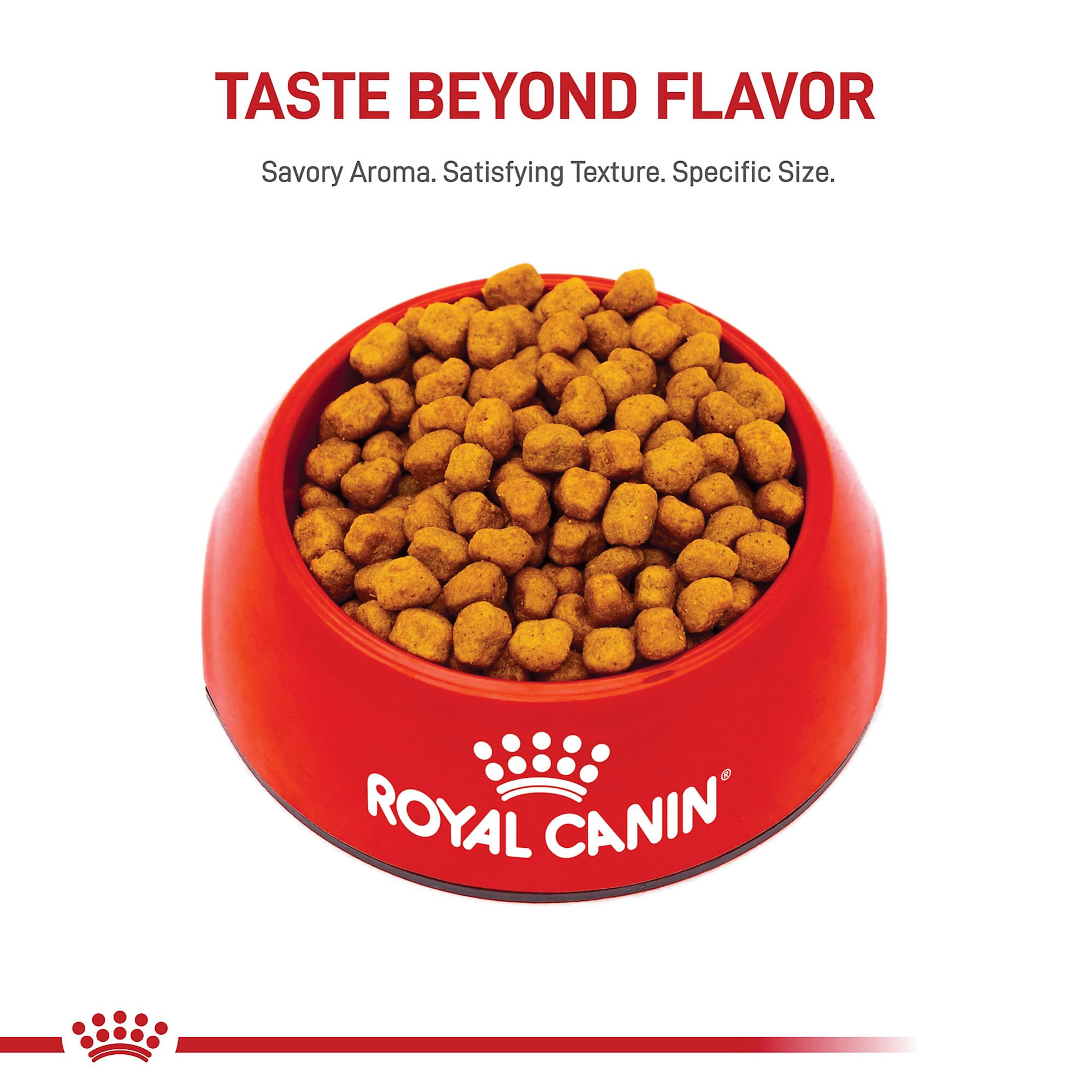 Royal Canin Shih Tzu Adulta, fibra y proteína de calidad para la digestión.