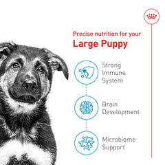 Bolsa de 17 lb de Royal Canin Size Health Nutrition para cachorros grandes, conveniencia de suministro.