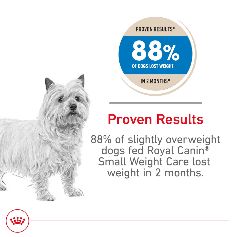 Royal Canin Small Weight Care croquetas: textura agradable para perros pequeños con sobrepeso.