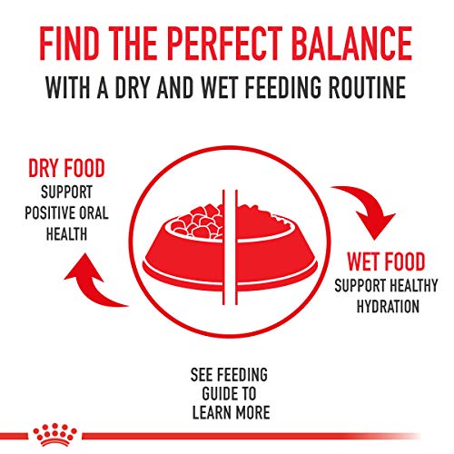 Soporte digestivo con fibra exclusiva, Royal Canin bolsa 7.7 lb.