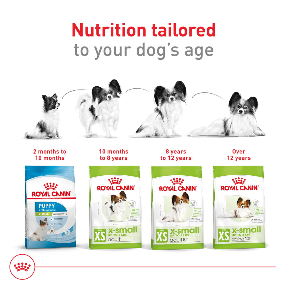 Royal Canin Tamaño Extra Pequeño 8+ Senior apoyo para corazón, riñones y cerebro.