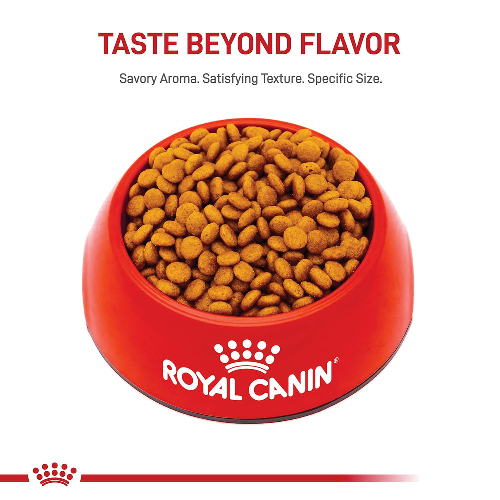 Royal Canin Tamaño Extra Pequeño 8+ Senior opción de dieta mixta con comida húmeda.