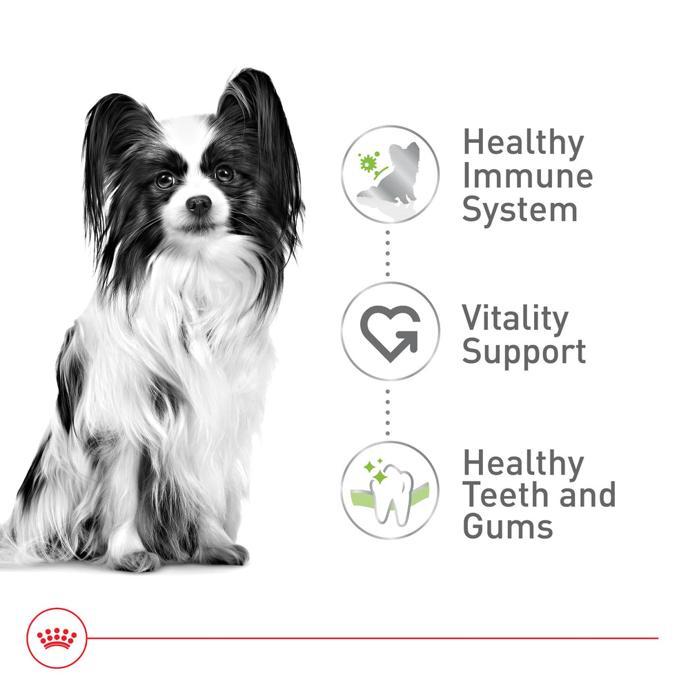 Royal Canin Tamaño Extra Pequeño 8+ Senior omega-3 para piel y pelaje saludables.