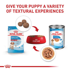 Royal Canin apoyo digestivo con prebióticos y proteínas de alta digestibilidad