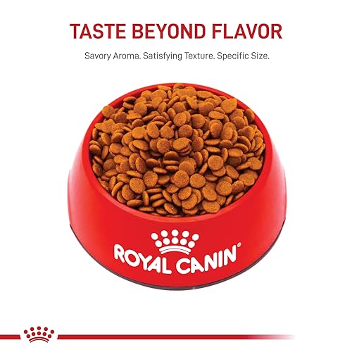 Royal Canin aporta energía sostenida para cachorros activos en crecimiento