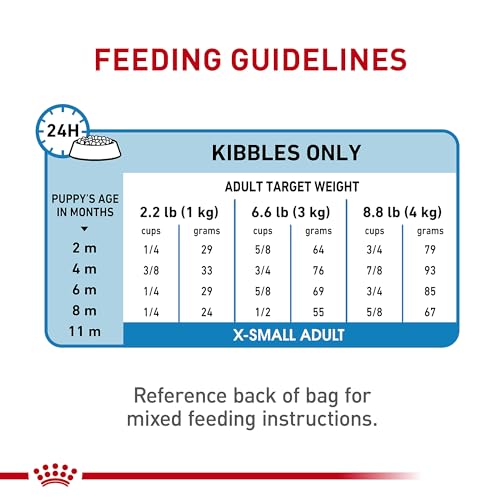 Royal Canin tamaño mini: nutrición específica para razas pequeñas.