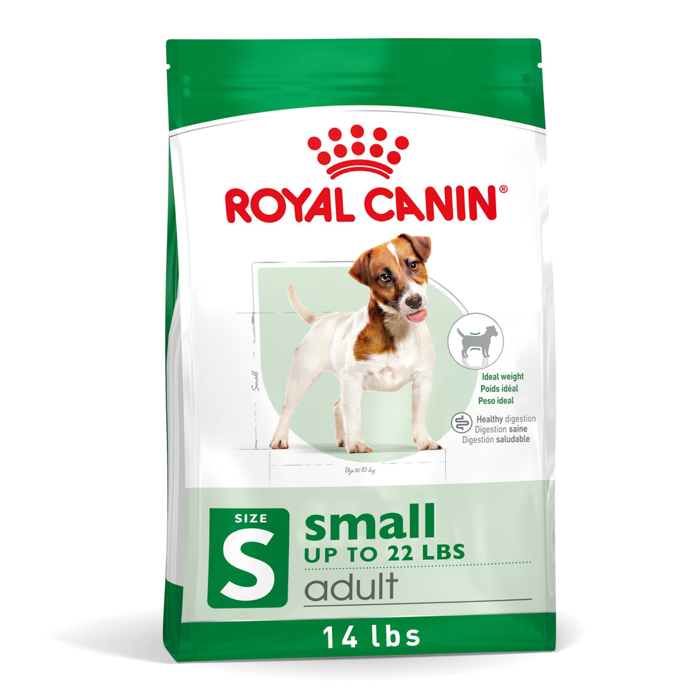 Royal Canin en bolsa, alimento seco para perros pequeños adultos.
