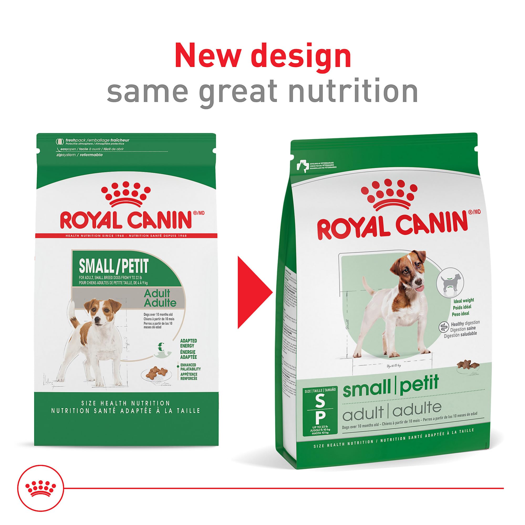 Croquetas de Royal Canin en tazón, palatabilidad alta.