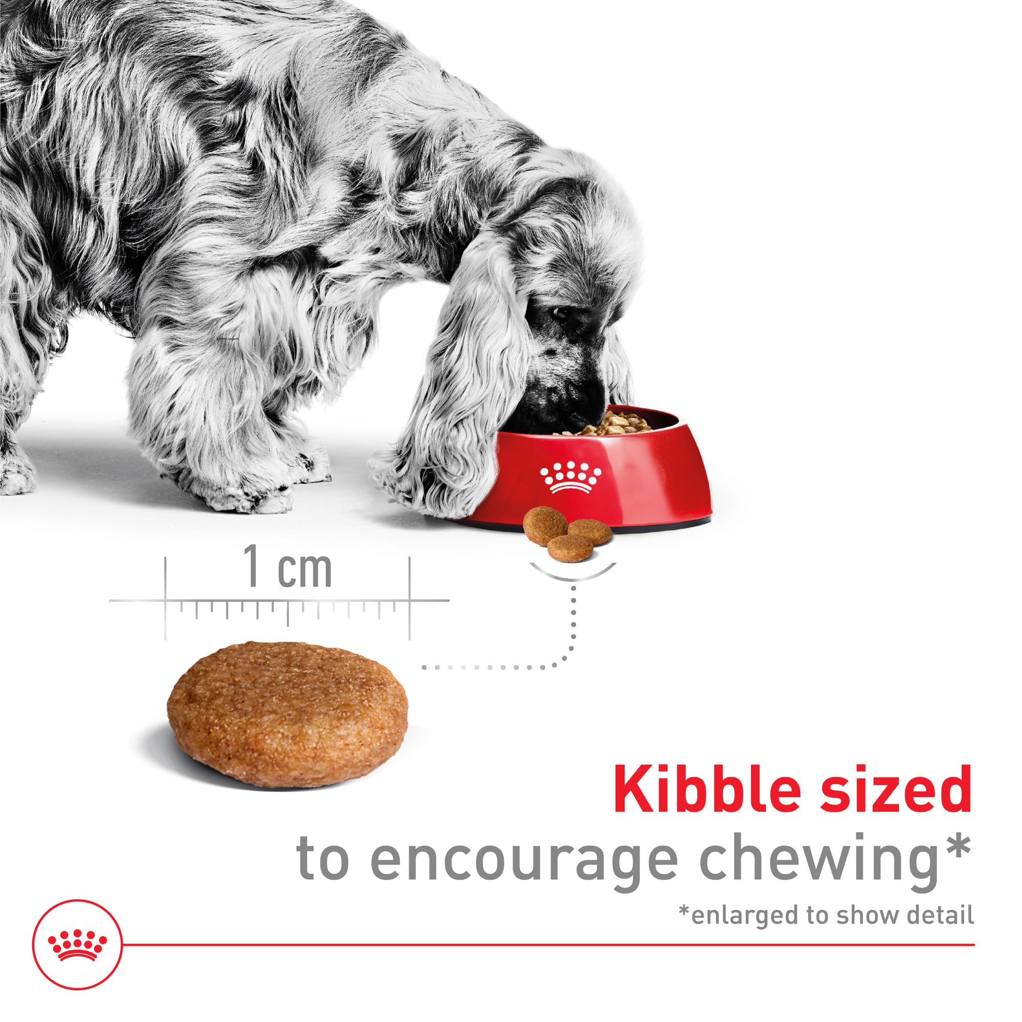 Royal Canin textura seca crujiente para mayor satisfacción al comer.