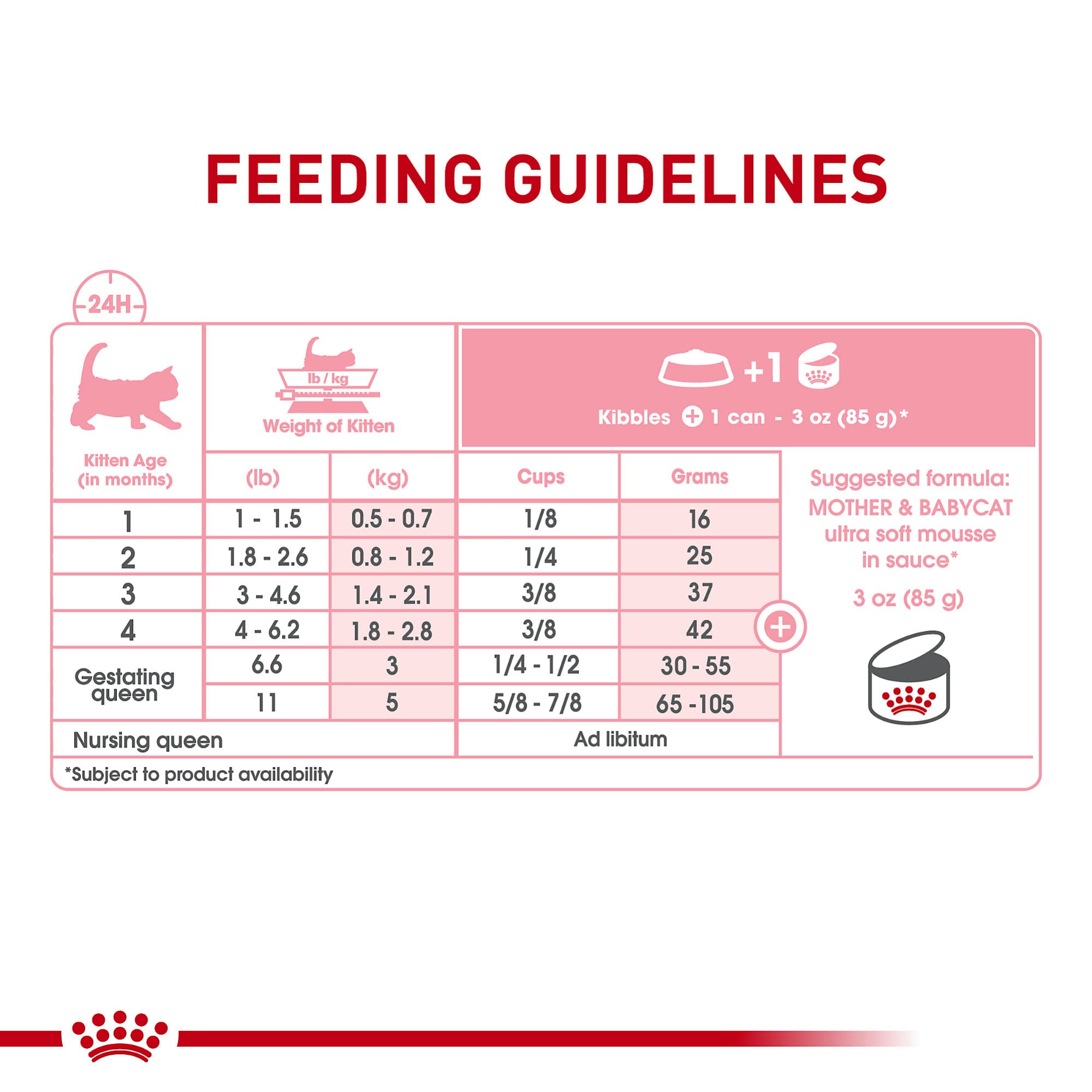 Textura mousse suave de Royal Canin para gatitos en crecimiento