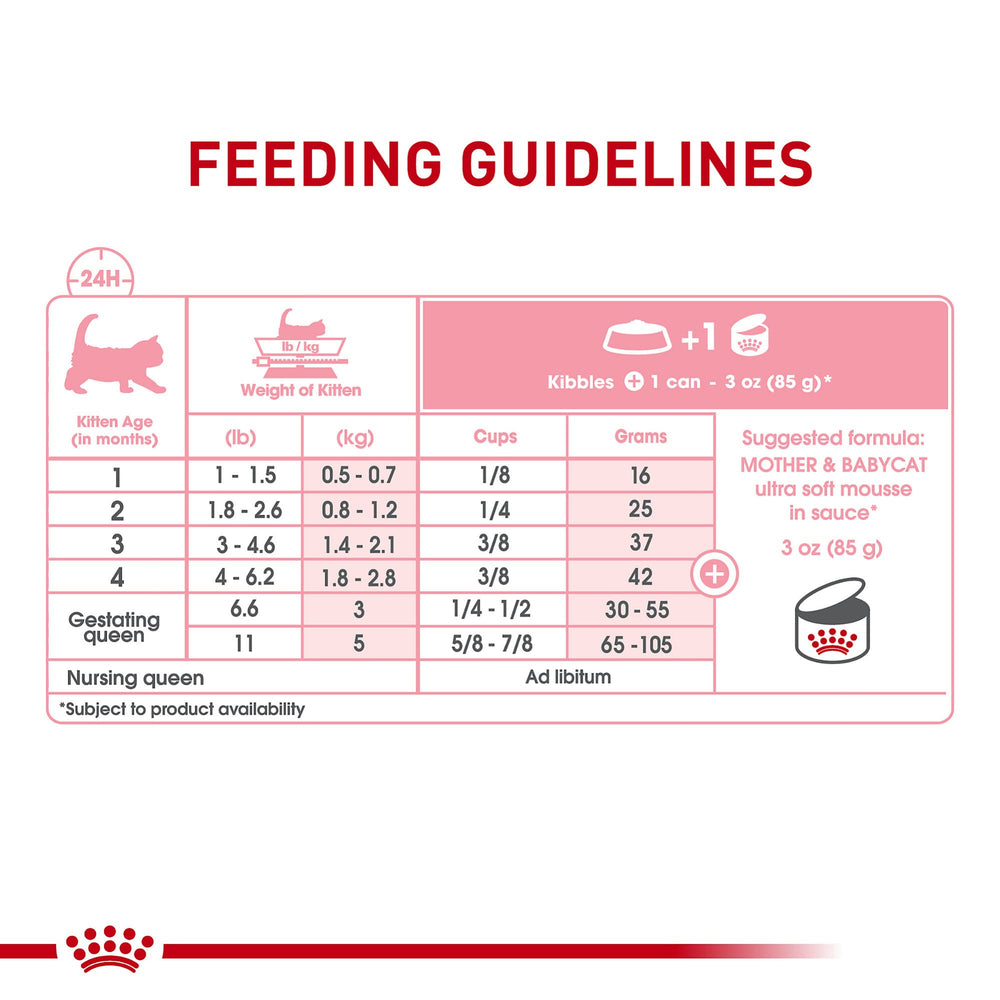 Textura mousse suave de Royal Canin para gatitos en crecimiento