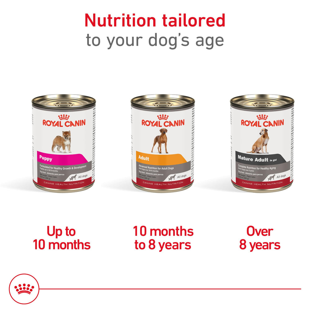 Royal Canin textura paté sabrosa para incentivar el apetito del cachorro.