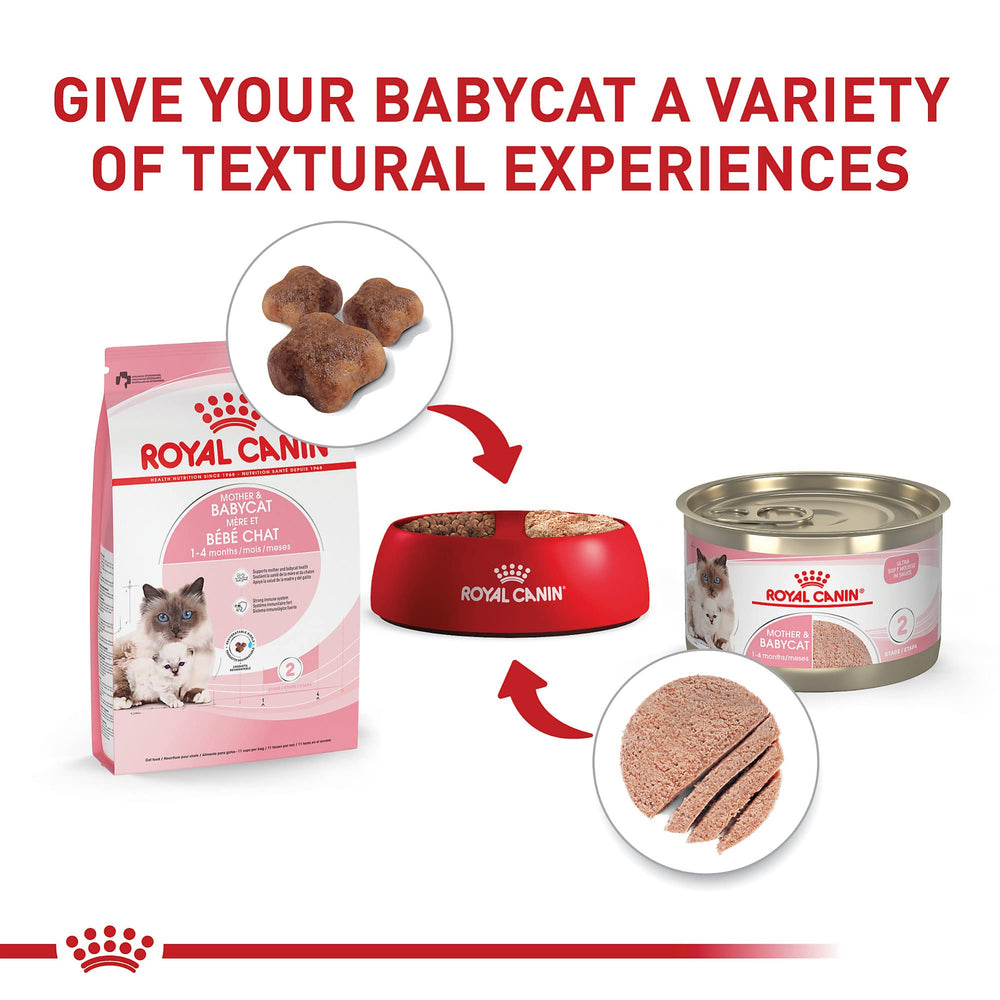 Royal Canin transición leche a sólido, croquetas adecuadas para gatitos en destete.