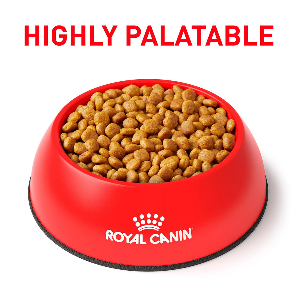 Royal Canin Urinary SO: bolsa de alimento seco para perros abierta