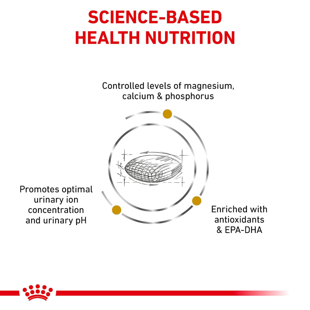 Royal Canin Urinary SO croquetas secas para perros, primer plano de la textura