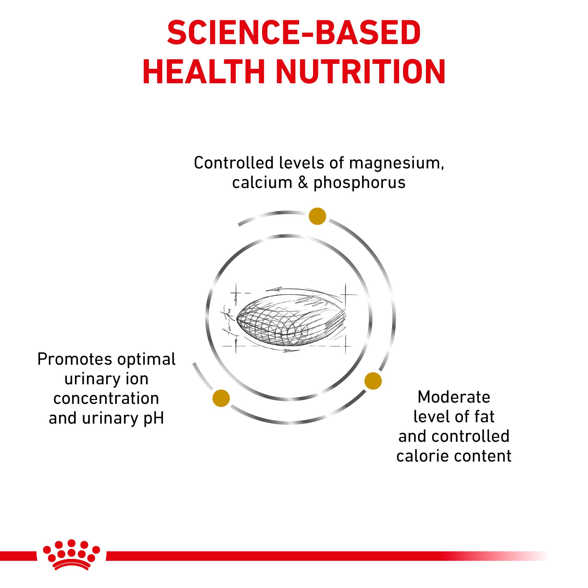 Royal Canin Urinary SO Mod Cal, apoyo para el control de peso en perros.