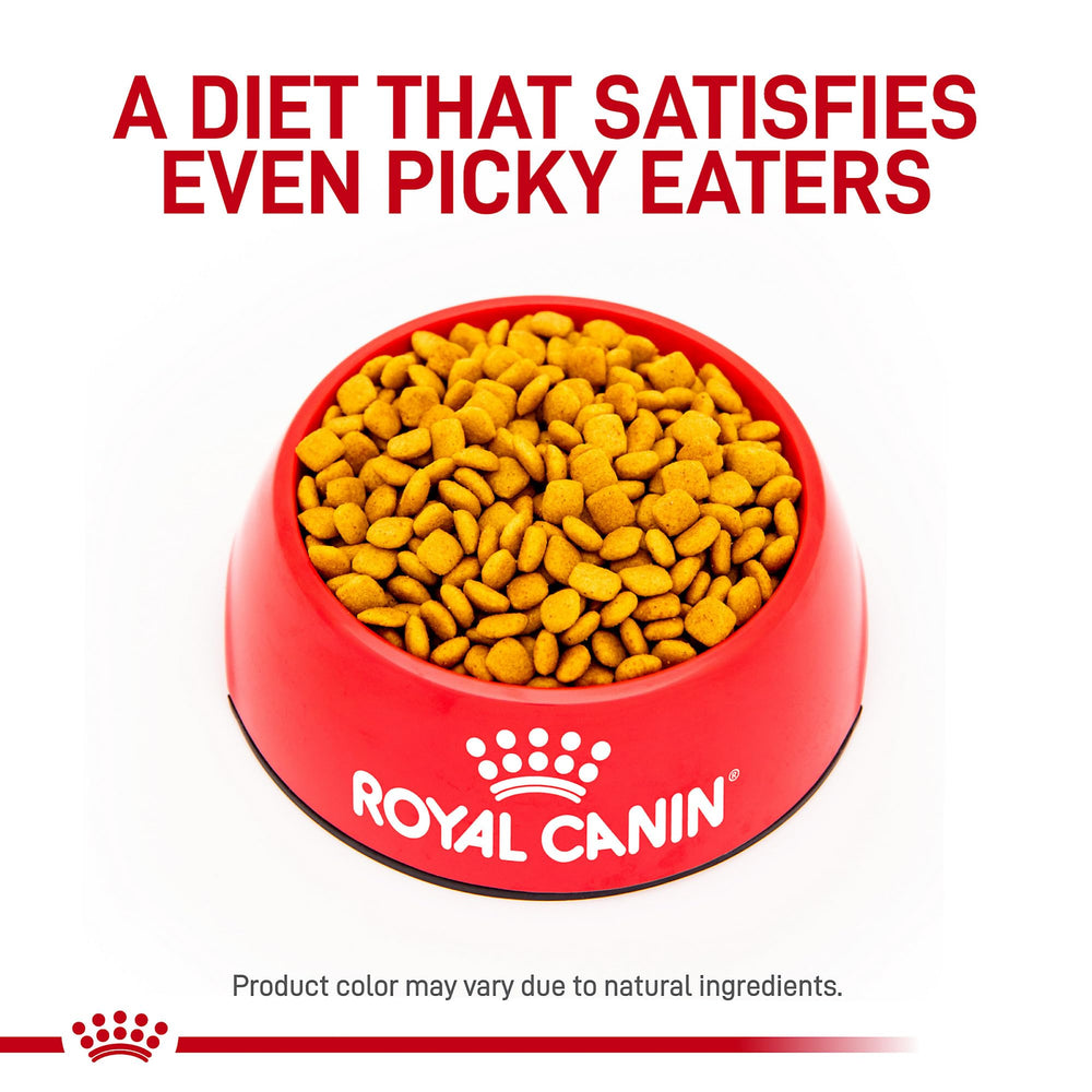 Royal Canin Urinary SO Mod Cal para perro, enfoque en la salud de la vejiga.