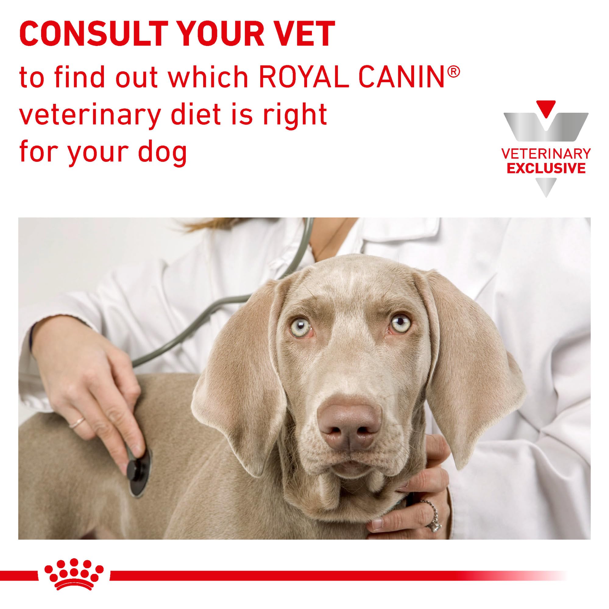 ROYAL CANIN Urinary SO Treats: escena de recompensa para entrenamiento